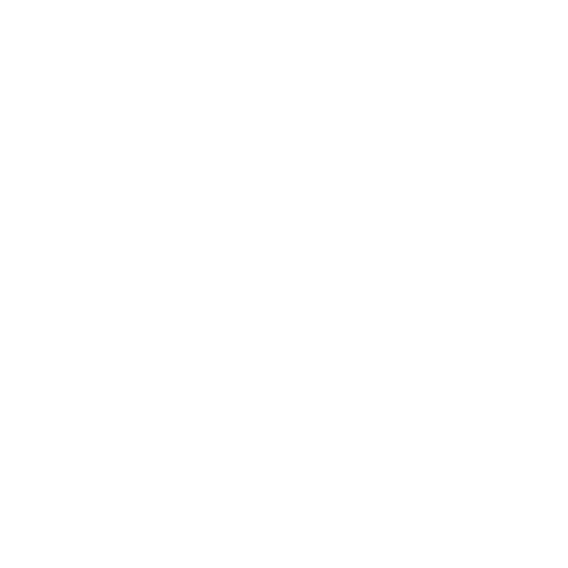 Secure Payment