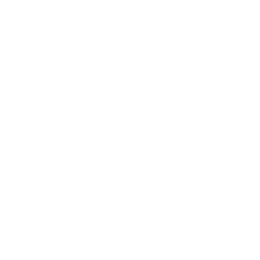 Secure Payment